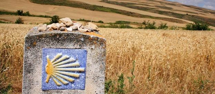 field - Spain El Camino de Santiago Hiking