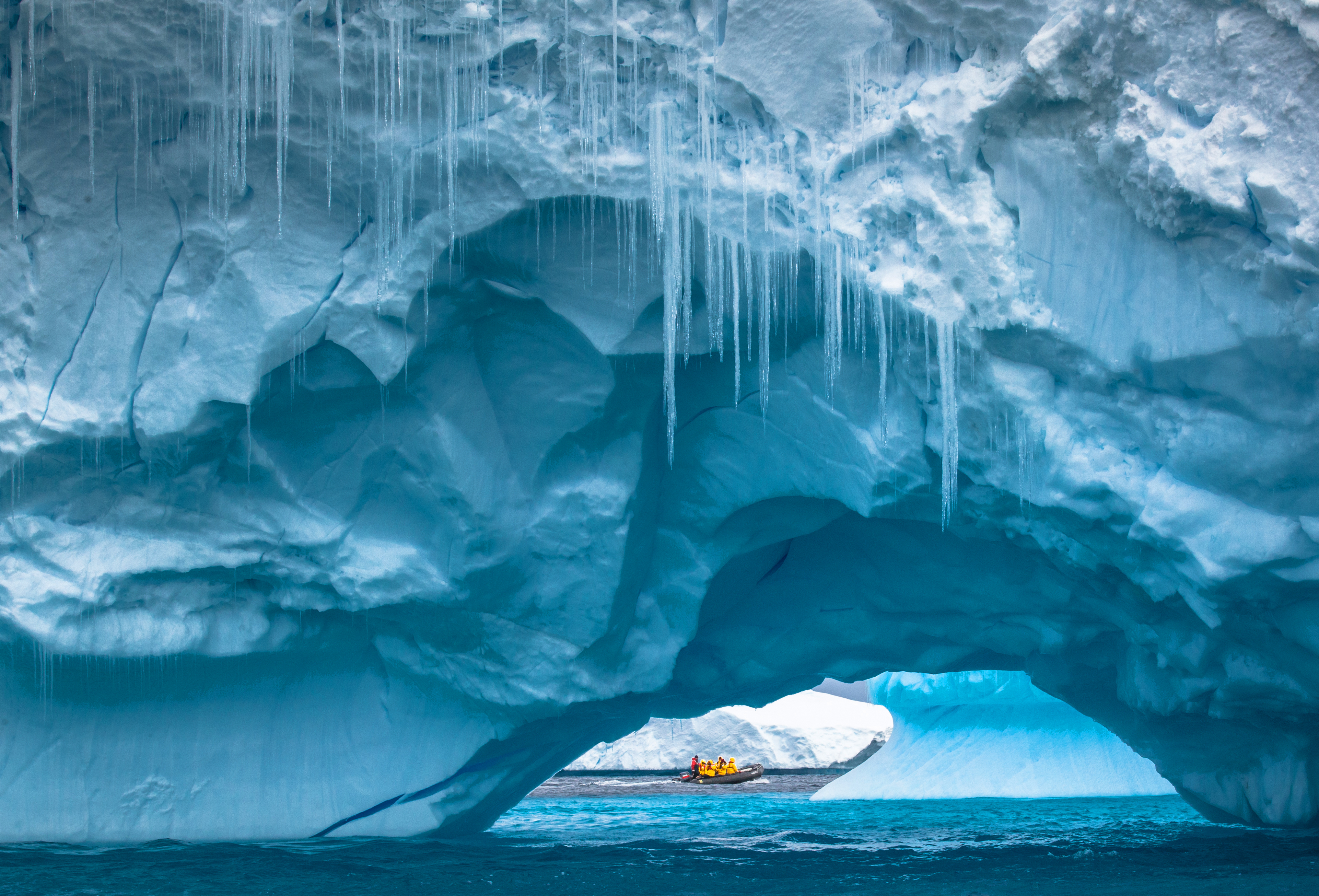 Antarctica, Falkland Islands & South Georgia Adventure Cruising