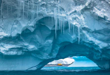 Antarctica, Falkland Islands & South Georgia Adventure Cruising