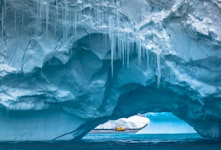 Antarctica, Falkland Islands & South Georgia Adventure Cruising Tour