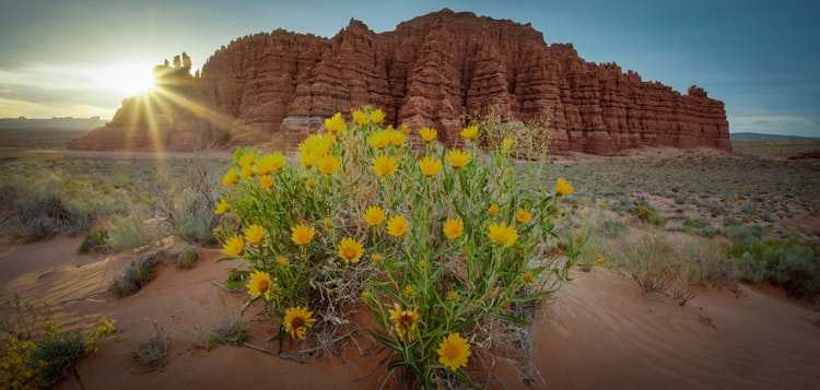 San Rafael Swell - Utah Capitol Reef & Canyonlands National Park Hiking