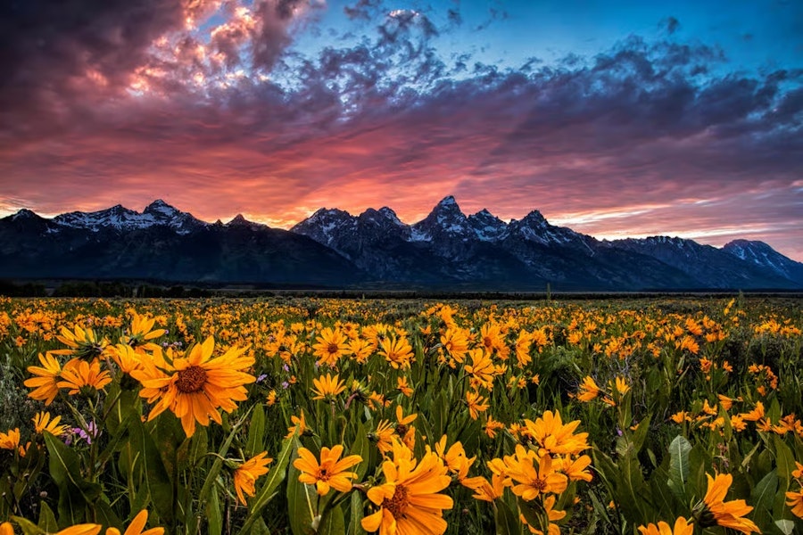 Yellowstone & Grand Teton National Parks Custom Luxury Adventure Tour