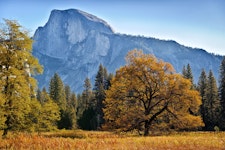 California Yosemite & Sonoma Custom Adventure Tour
