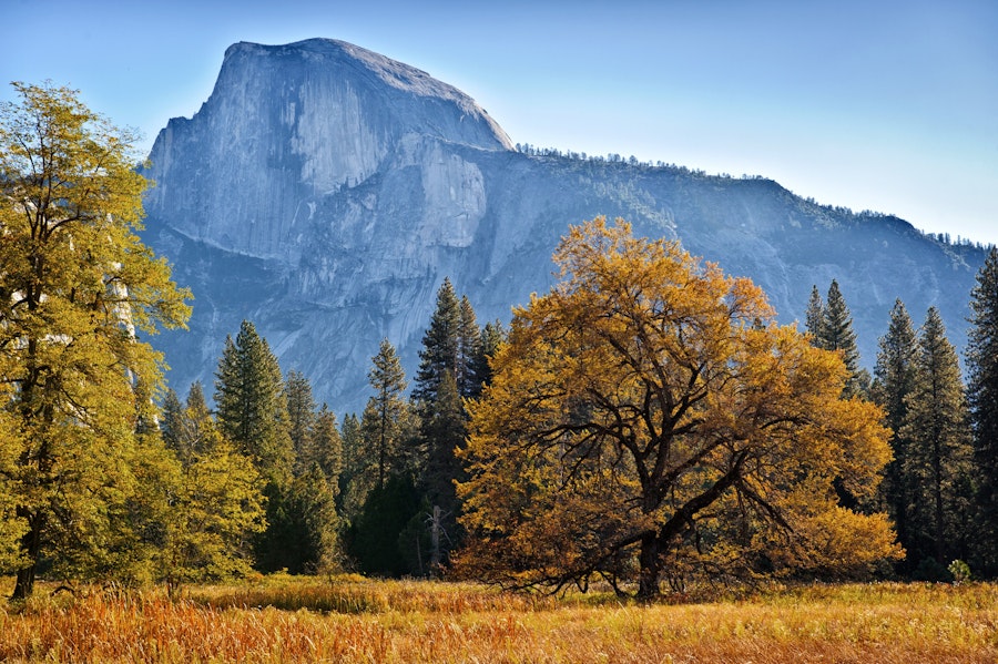 California Yosemite & Sonoma Custom Adventure Tour