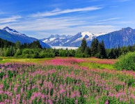 Alaska Glaciers & Wildlife Multi-Adventure Tour