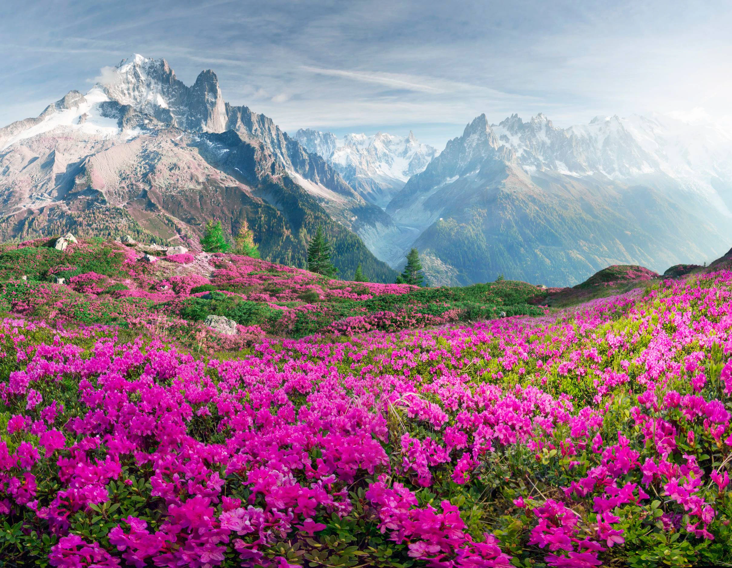 Alps Chamonix & Courmayeur Hiking with Premier Lodging