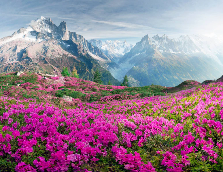 Alps Chamonix & Courmayeur Hiking with Premier Lodging Tour