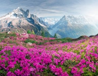 Alps Chamonix & Courmayeur Hiking with Premier Lodging Tour