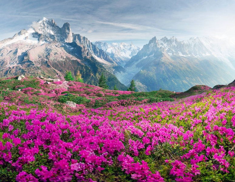 Alps Chamonix & Courmayeur Hiking with Premier Lodging Tour