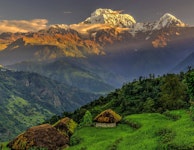 Nepal Annapurna Lodge-to-Lodge Trek Tour