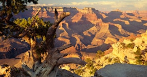 Arizona Grand Canyon Phantom Ranch Rim to Rim Hiking 5 Day - 2026 Tour