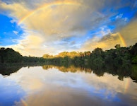 Brazil Amazonas Wildlife River Cruising