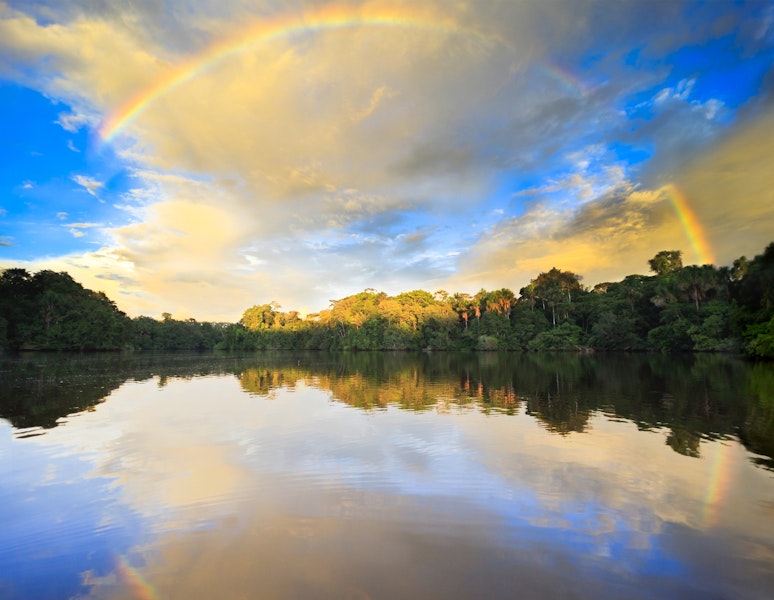 Brazil Amazonas Wildlife River Cruising Tour