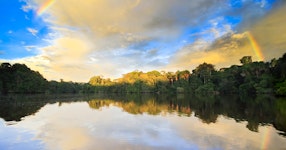 Brazil Amazonas Wildlife River Cruising Tour