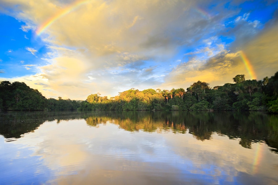 Brazil Amazonas Wildlife River Cruising Tour