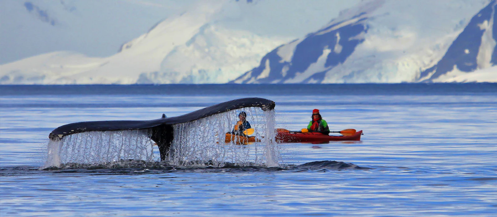 Antarctica Crossing the Antarctic Circle Adventure Cruising