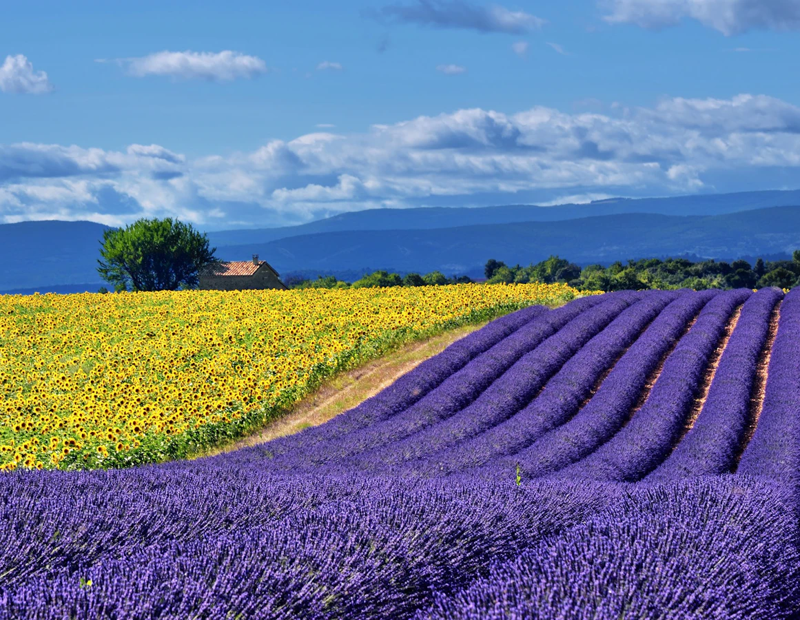 France Provence Village to Village Hiking