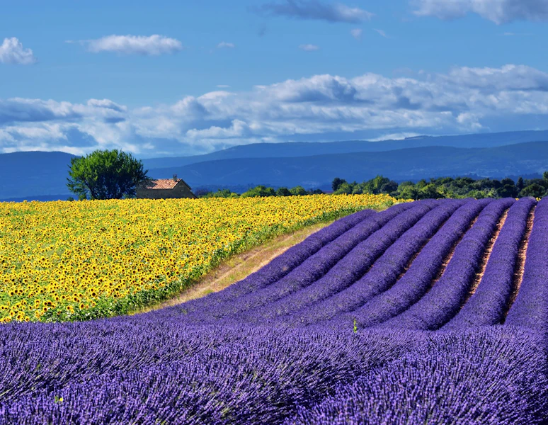 France Provence Village to Village Hiking Tour