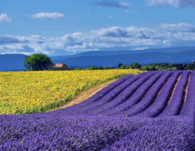 France Provence Village to Village Hiking Tour