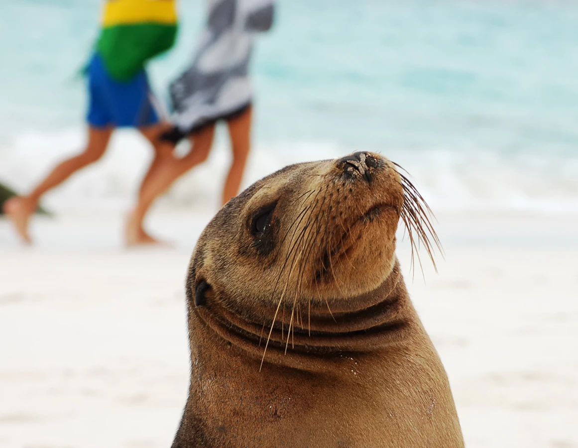 Ecuador Galapagos & Amazon Adventure