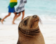 Ecuador Galapagos & Amazon Adventure Tour