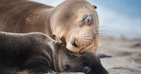 Ecuador Galapagos Islands Land & Sea Multi-Adventure Tour