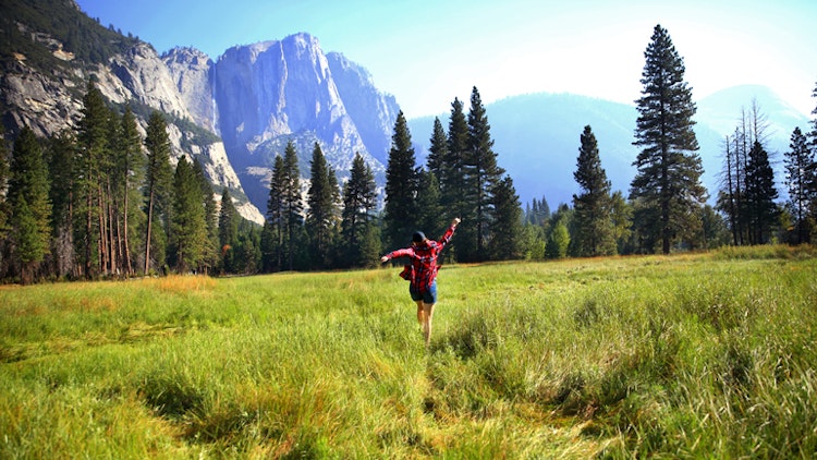 field - California Yosemite National Park Hiking Adventure