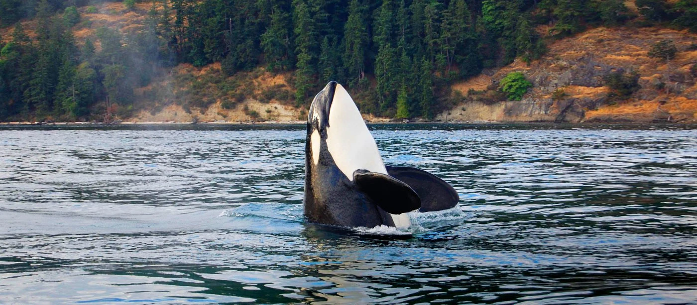 Washington San Juan Islands Multi-Adventure