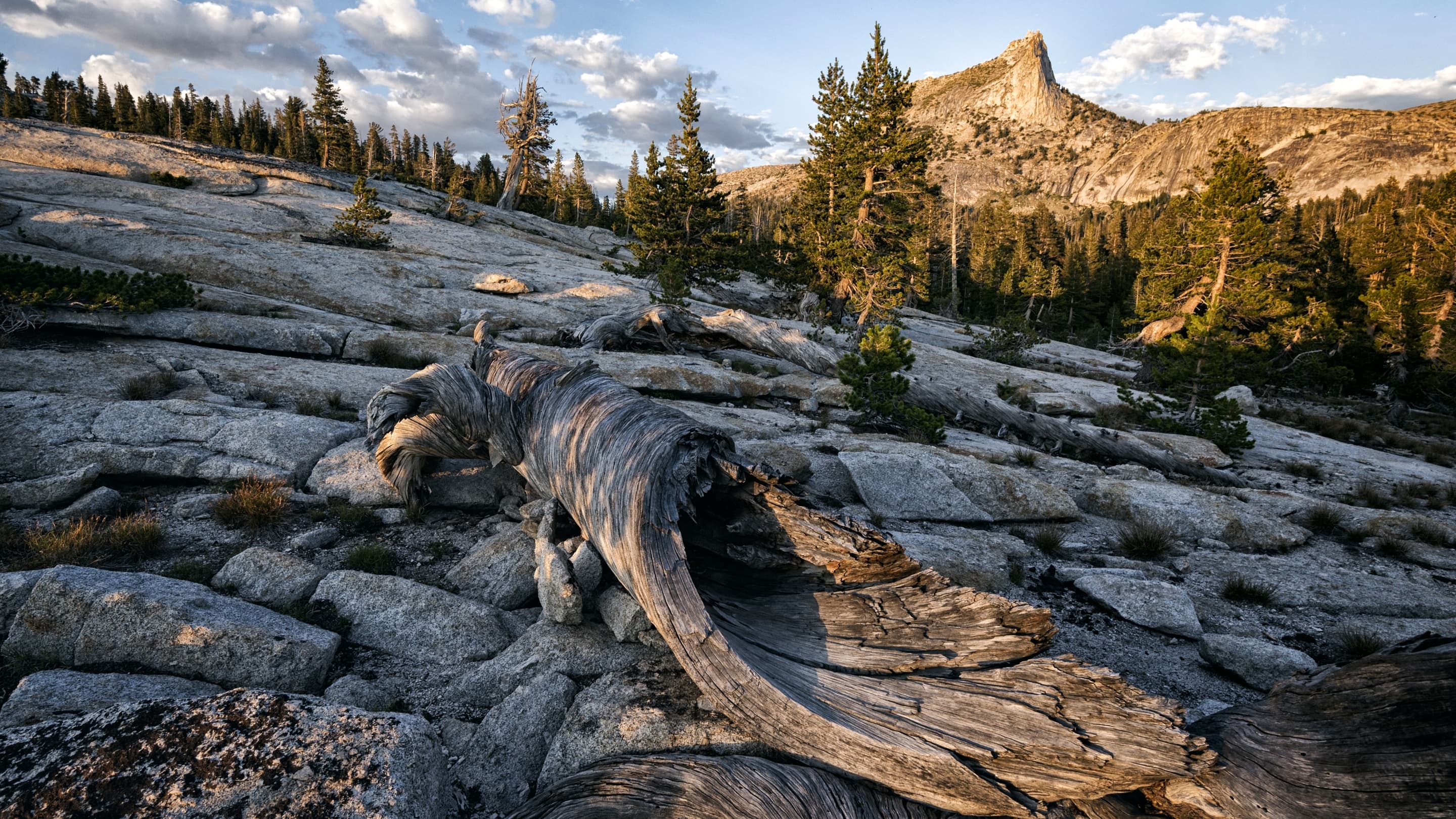 hydration pack for mtb