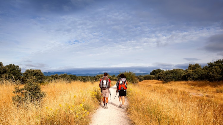 hikers and brown grasses - Spain El Camino de Santiago Hiking