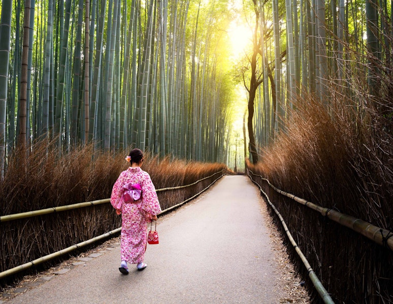 Japan Kyoto to Tokyo Walking Tour