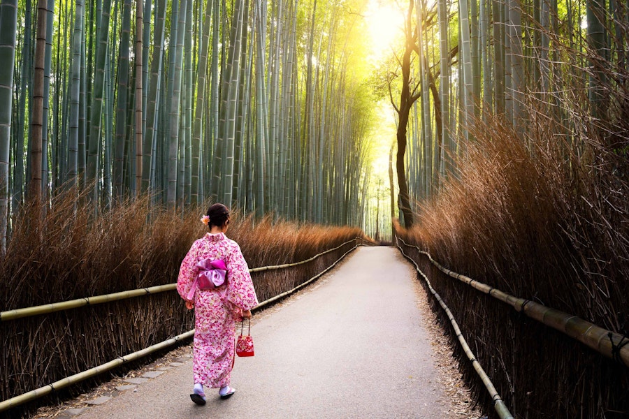 Japan Kyoto to Tokyo Walking Tour