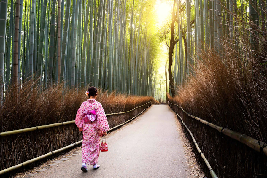 Japan Kyoto to Tokyo Nakasendo Trail Walking Tour