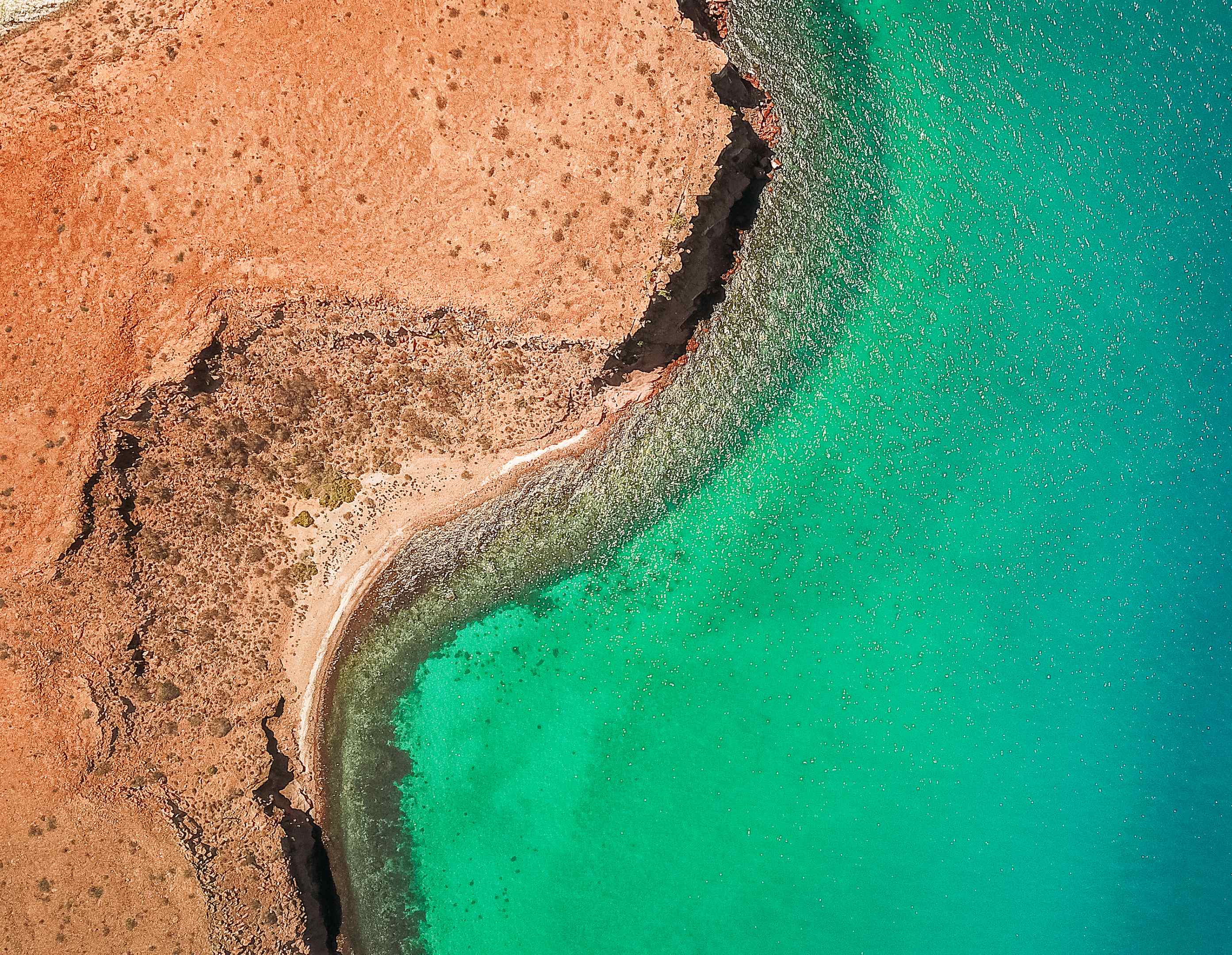 Mexico Baja Sea of Cortez Multi-Adventure