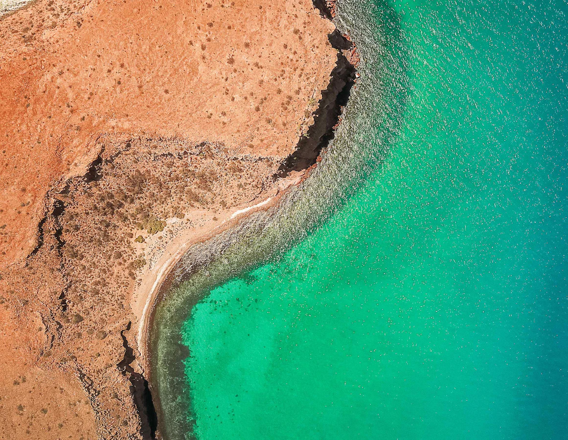 Mexico Baja Sea of Cortez Multi-Adventure
