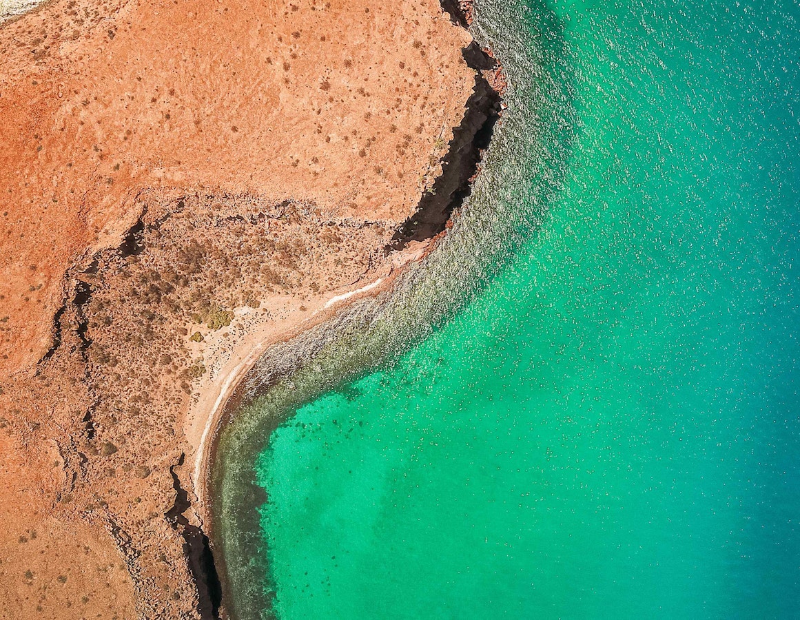 Mexico Baja Sea of Cortez Multi-Adventure