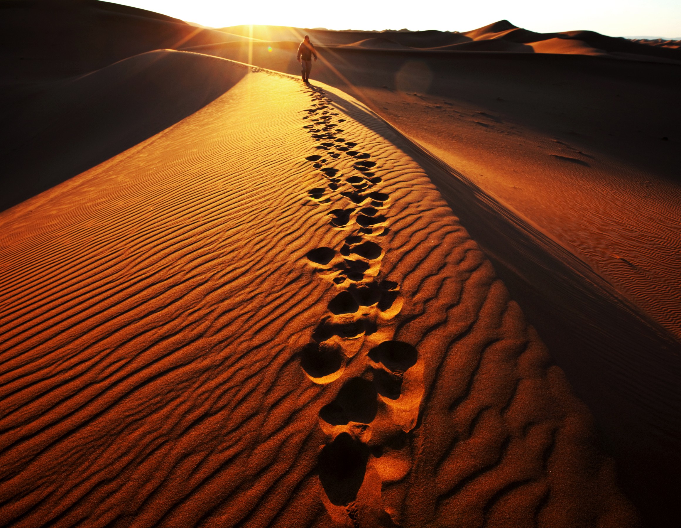 Namibia Wildlife & Dunes Safari
