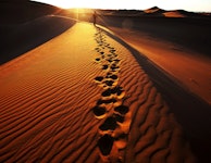 Namibia Wildlife & Dunes Private Safari Tour