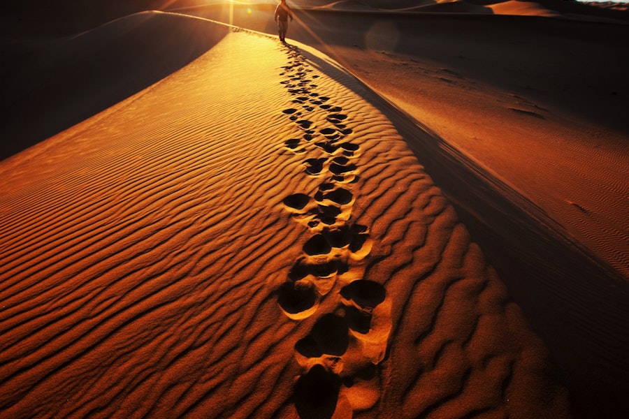 Namibia Wildlife & Dunes Custom Safari Tour