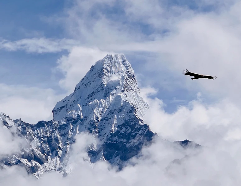 Nepal Everest Lodge-to-Lodge Trekking Tour