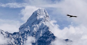 Nepal Everest Lodge-to-Lodge Trekking Tour