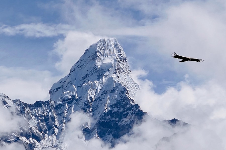 Nepal Everest Lodge-to-Lodge Trekking Tour
