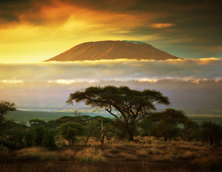 Tanzania Climb Kilimanjaro Machame Route Trekking Tour