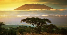Tanzania Climb Kilimanjaro Tour