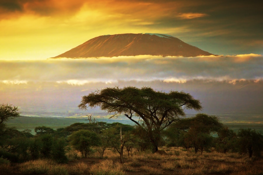 Tanzania Climb Kilimanjaro Tour