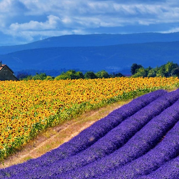 France Provence Village to Village Hiking | MT Sobek