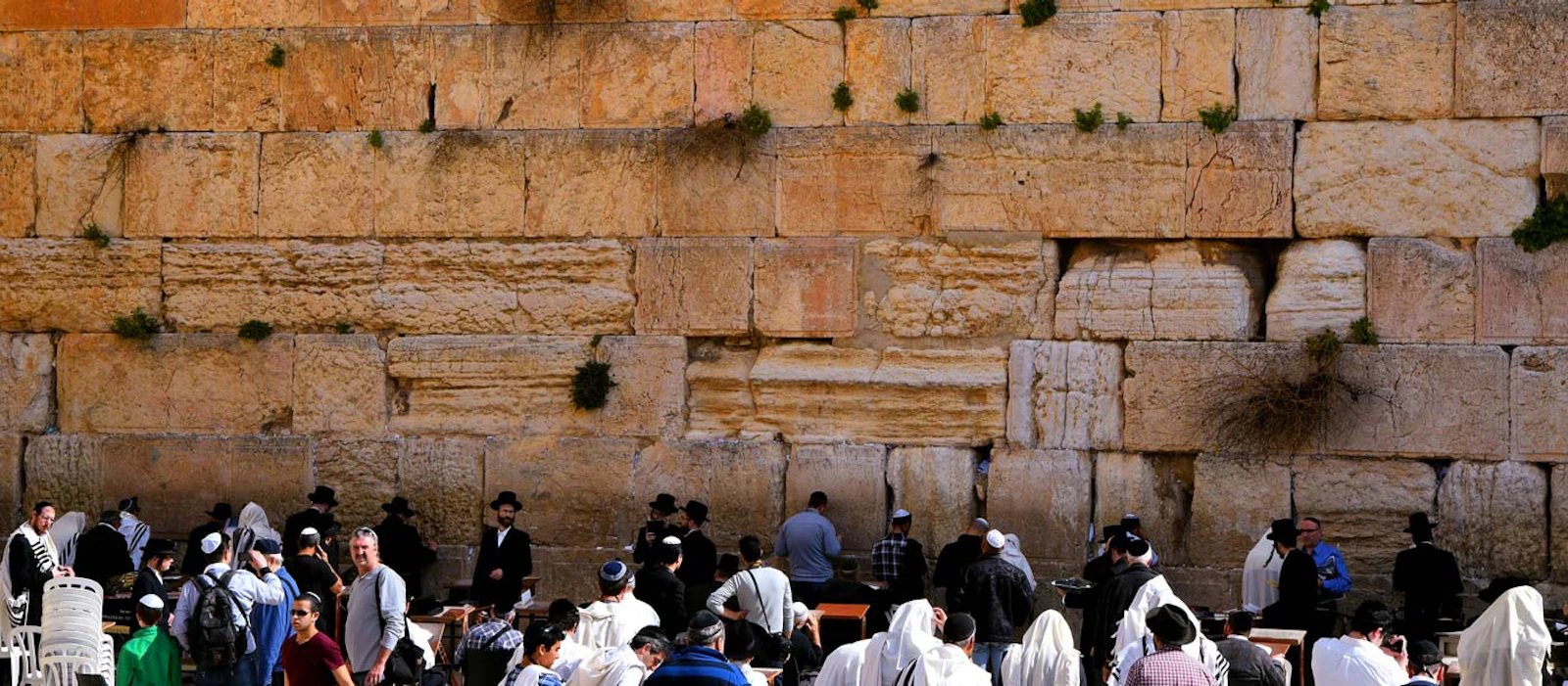 Israel Perspectives and Peoples Cultural Discovery